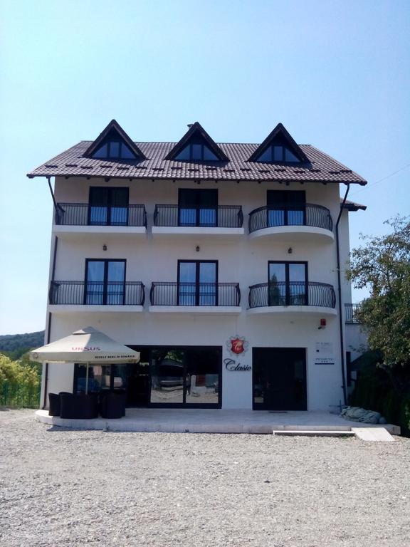 Pensiunea Clasic Curtea de Argeş Esterno foto